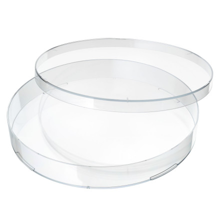 Dish, Petri, 140*21 mm, with vents, non sterile, polystyrene